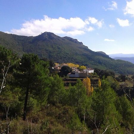 Las Encinas Yeste Kültér fotó
