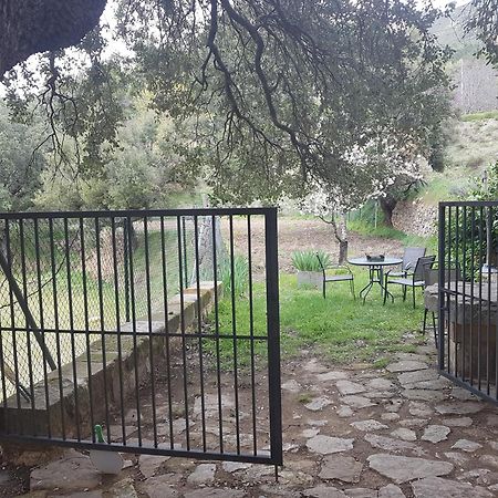 Las Encinas Yeste Kültér fotó