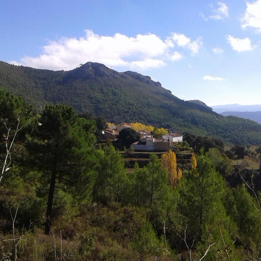 Las Encinas Yeste Kültér fotó