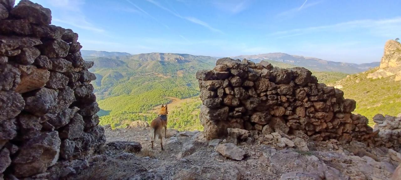 Las Encinas Yeste Kültér fotó