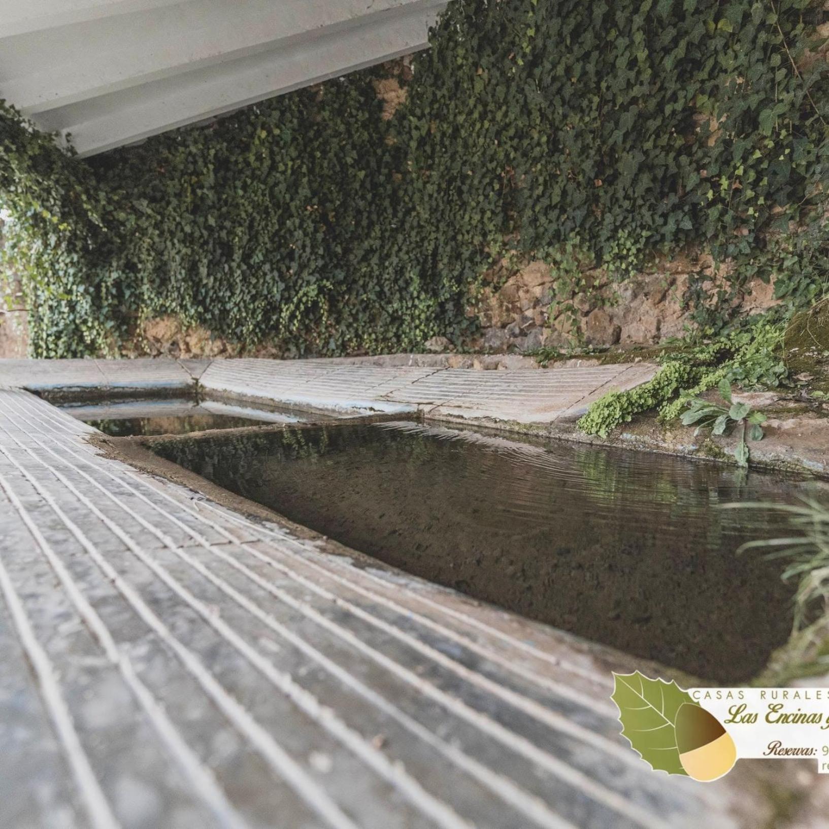 Las Encinas Yeste Kültér fotó